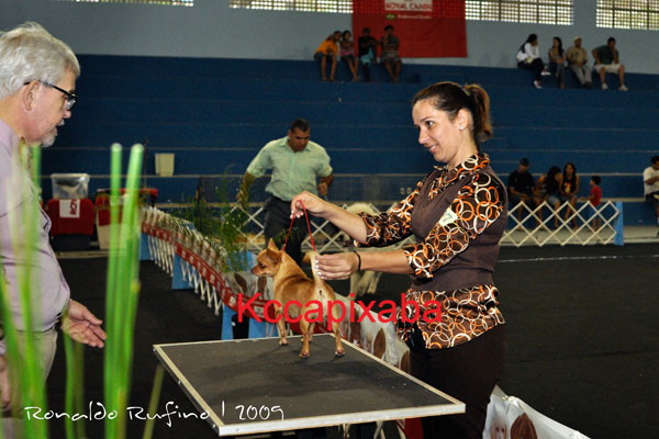 Clique sobre a foto para fechar